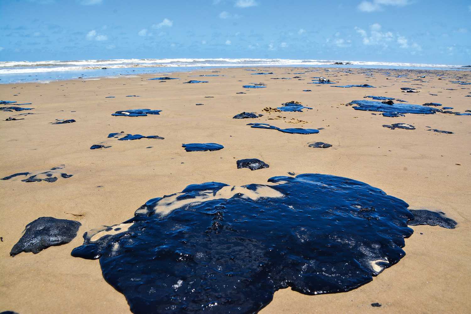 Polícia Federal revela oficialmente quem jogou óleo no litoral brasileiro