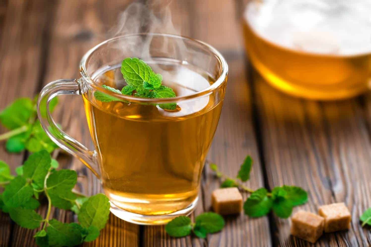 Chá verde, camomila, hibisco: 10 tipos de chás
