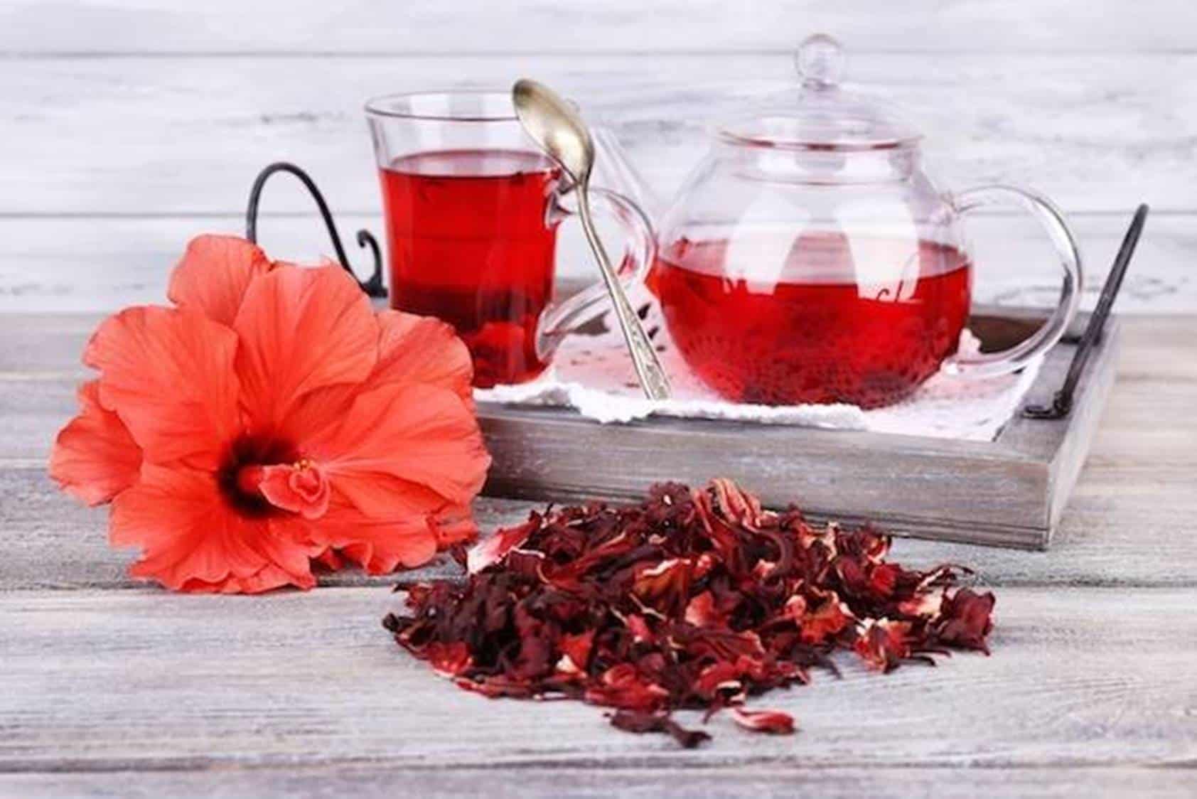 Chá de hibisco para secar barriga: 10 receitas para deixar ele mais saboroso