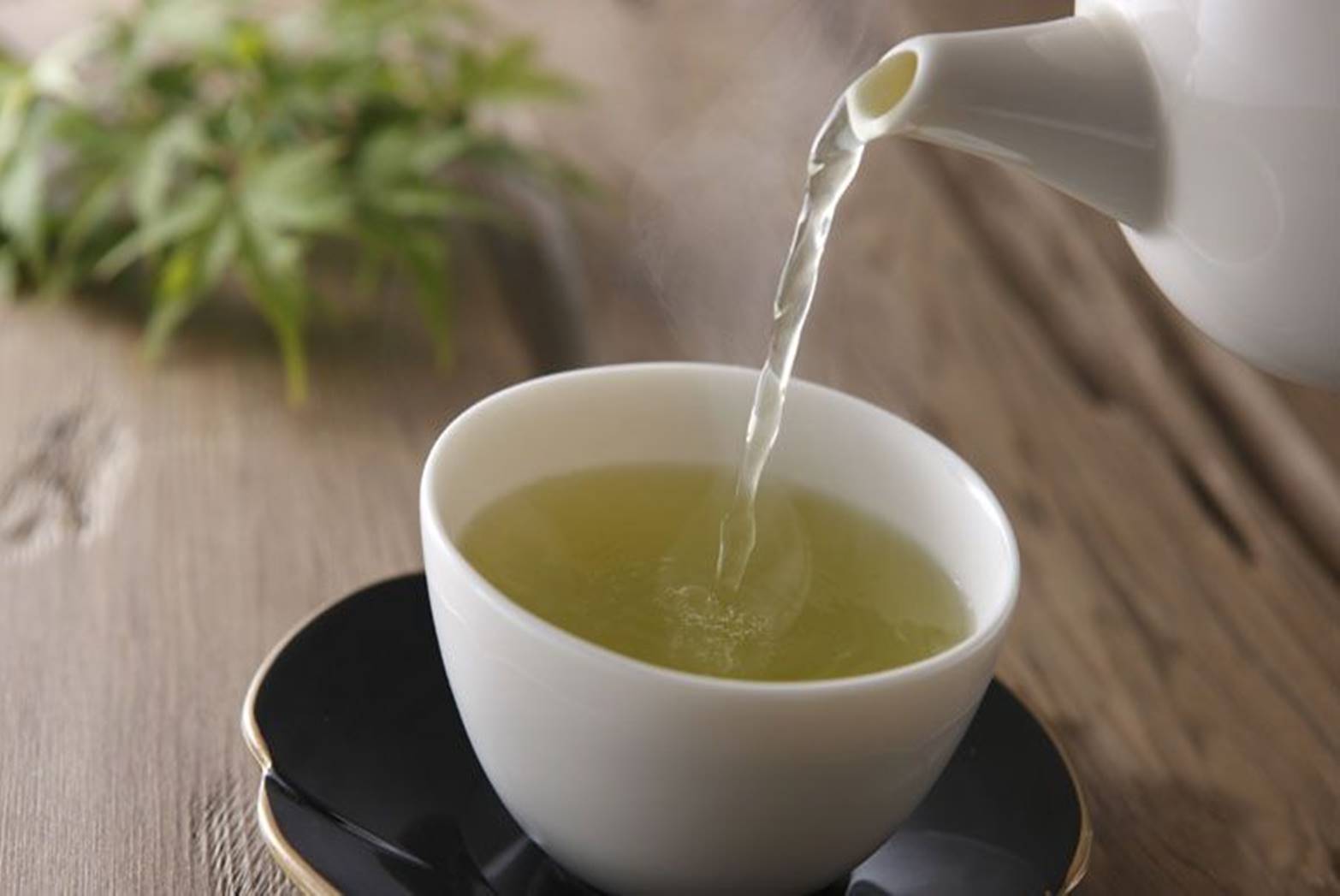 Chá para emagrecer: nutricionista revela 6 melhores para ter resultado