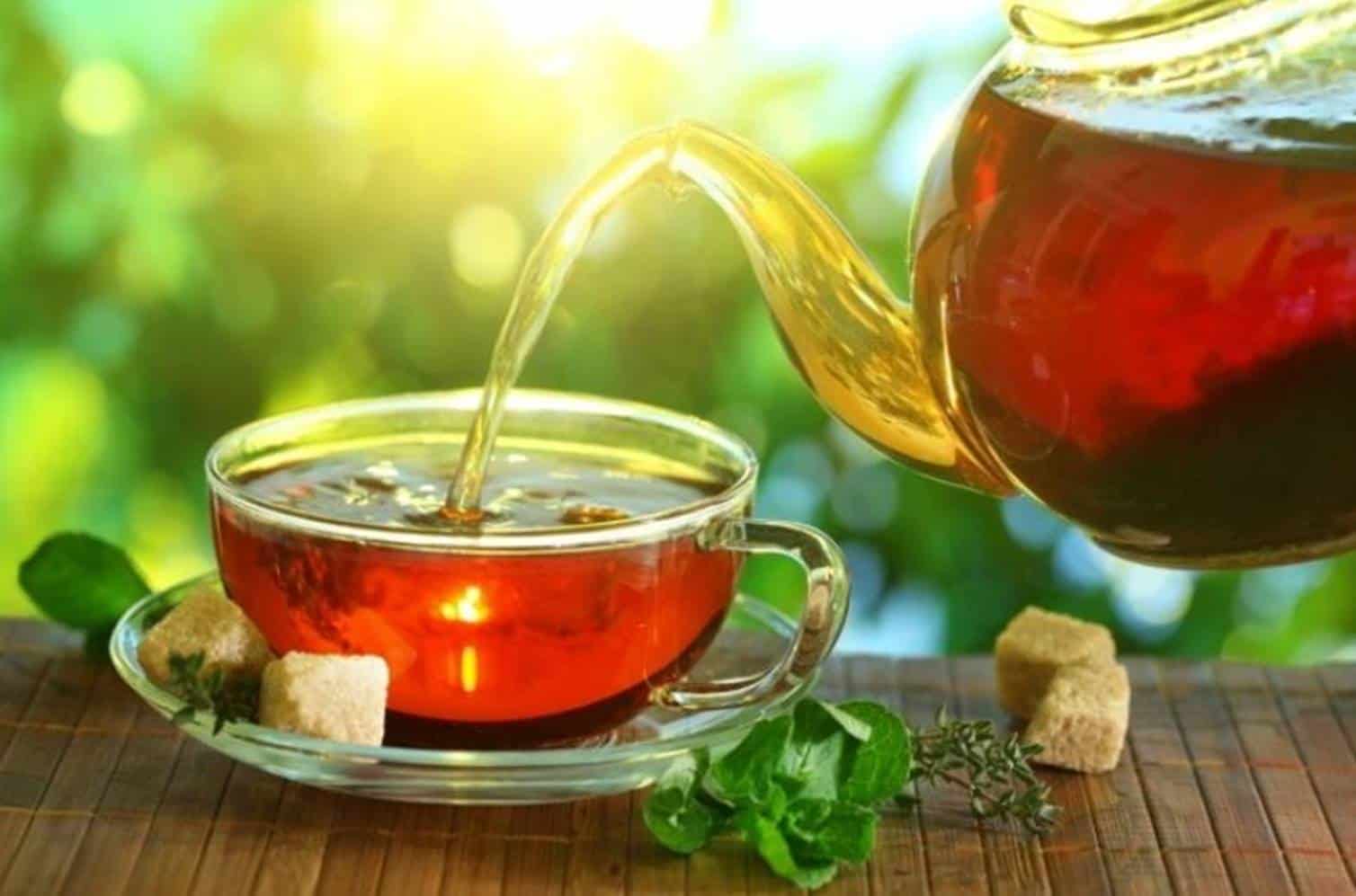 Chá de amora emagrece quase 2 kg em uma semana; veja como preparar