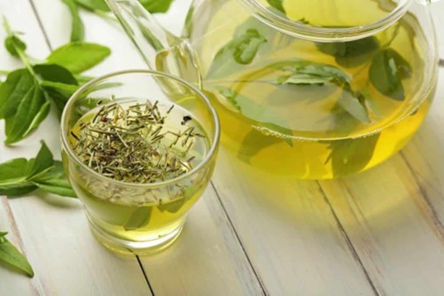 5 boas receitas de Chá Verde para perder gordura abdominal
