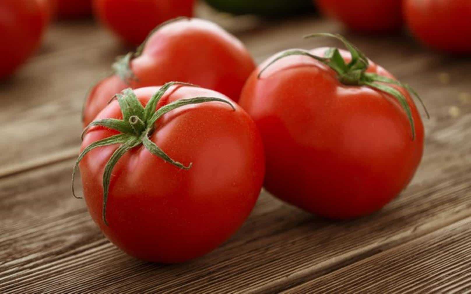 Tomate faz perder a barriga; veja os benefícios e 4 receitas incríveis