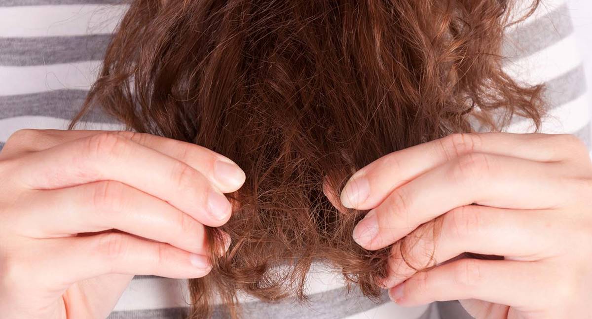 Aprenda os motivos de quebra do cabelo e também como recuperá-lo