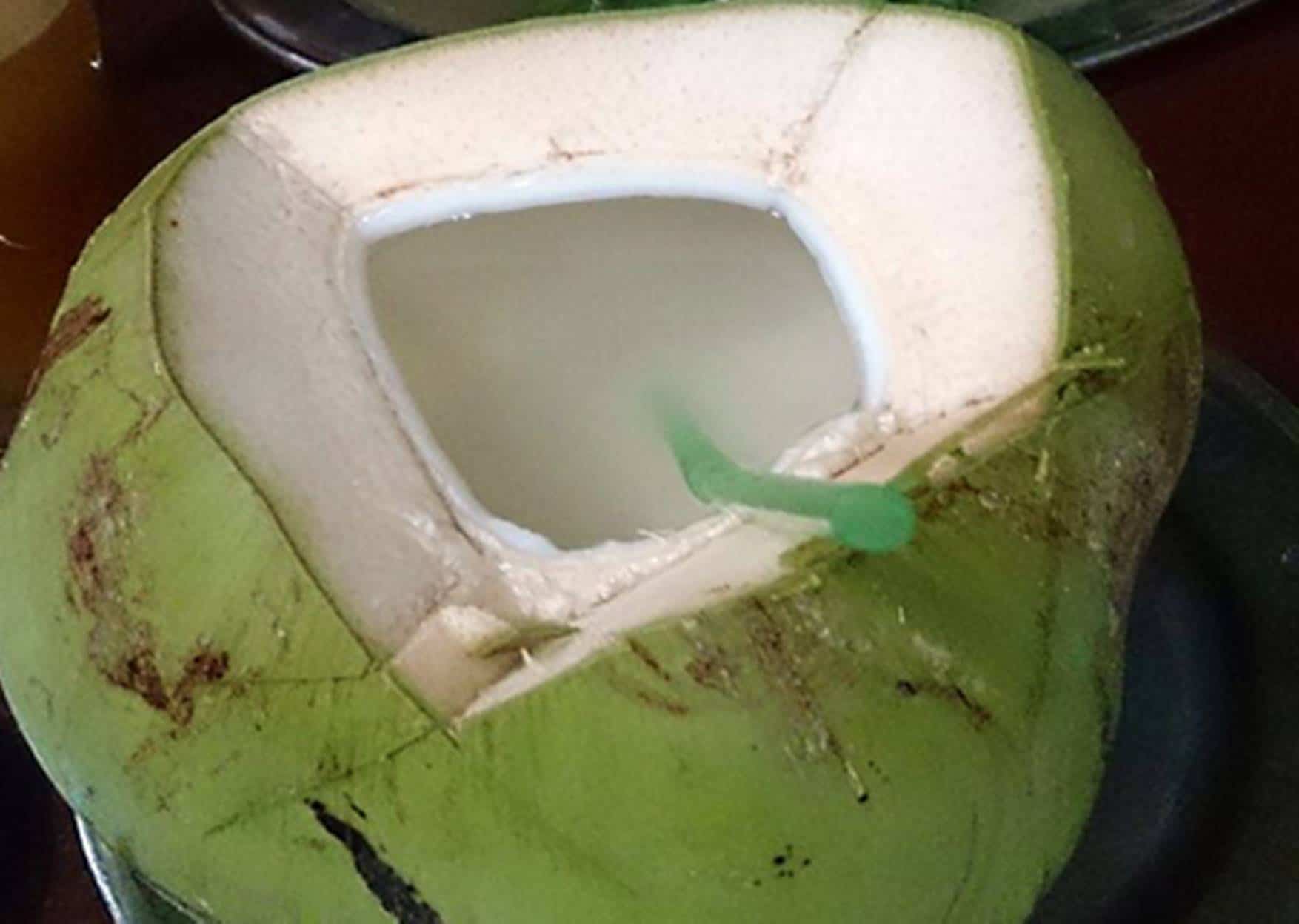 Conheça as propriedades e benefícios da água de coco