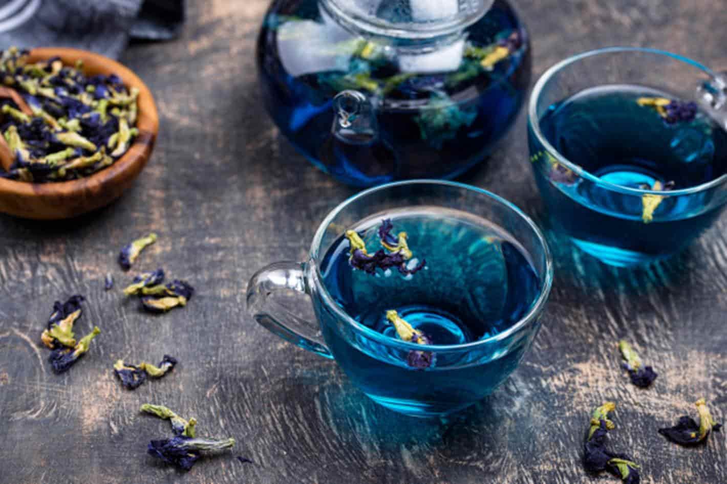 Chá azul: descubra os novos benefícios desta bebida para perder peso