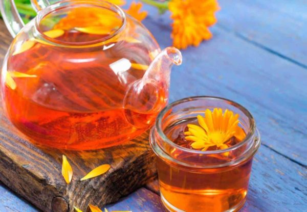 Beba o chá de flores de calêndula e desfrute dos seus benefícios