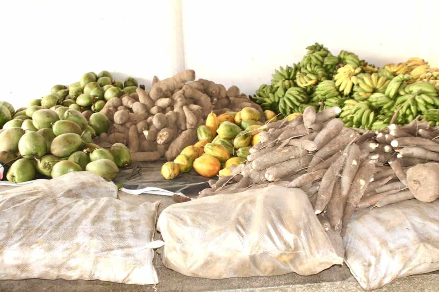 Famílias receberam alimentos da Agricultura Familiar em Simões Filho