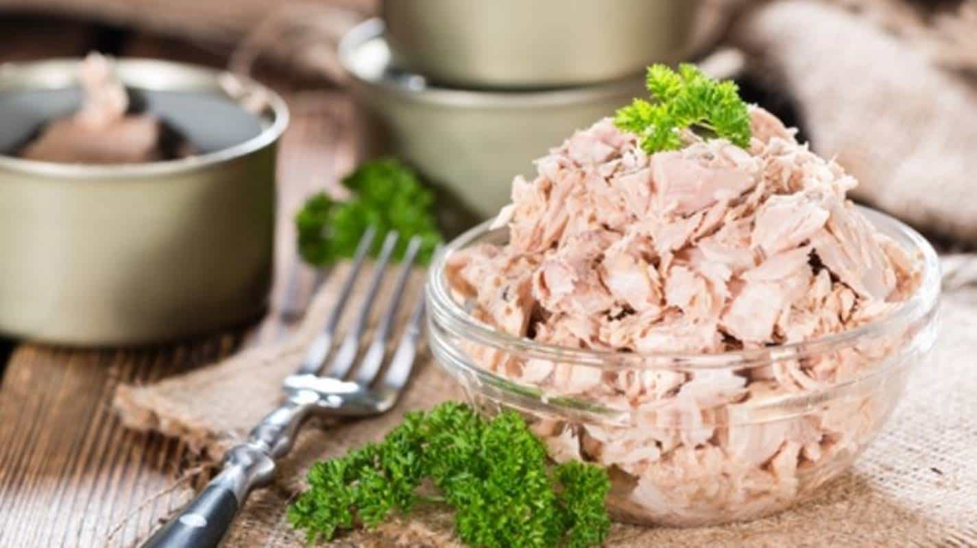 2 pratos fáceis que você pode fazer utilizando atum em lata