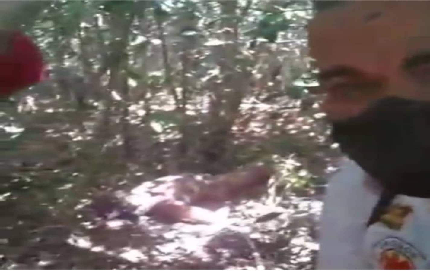 3 corpos com marcas de tiros são encontrados em mata de Simões Filho