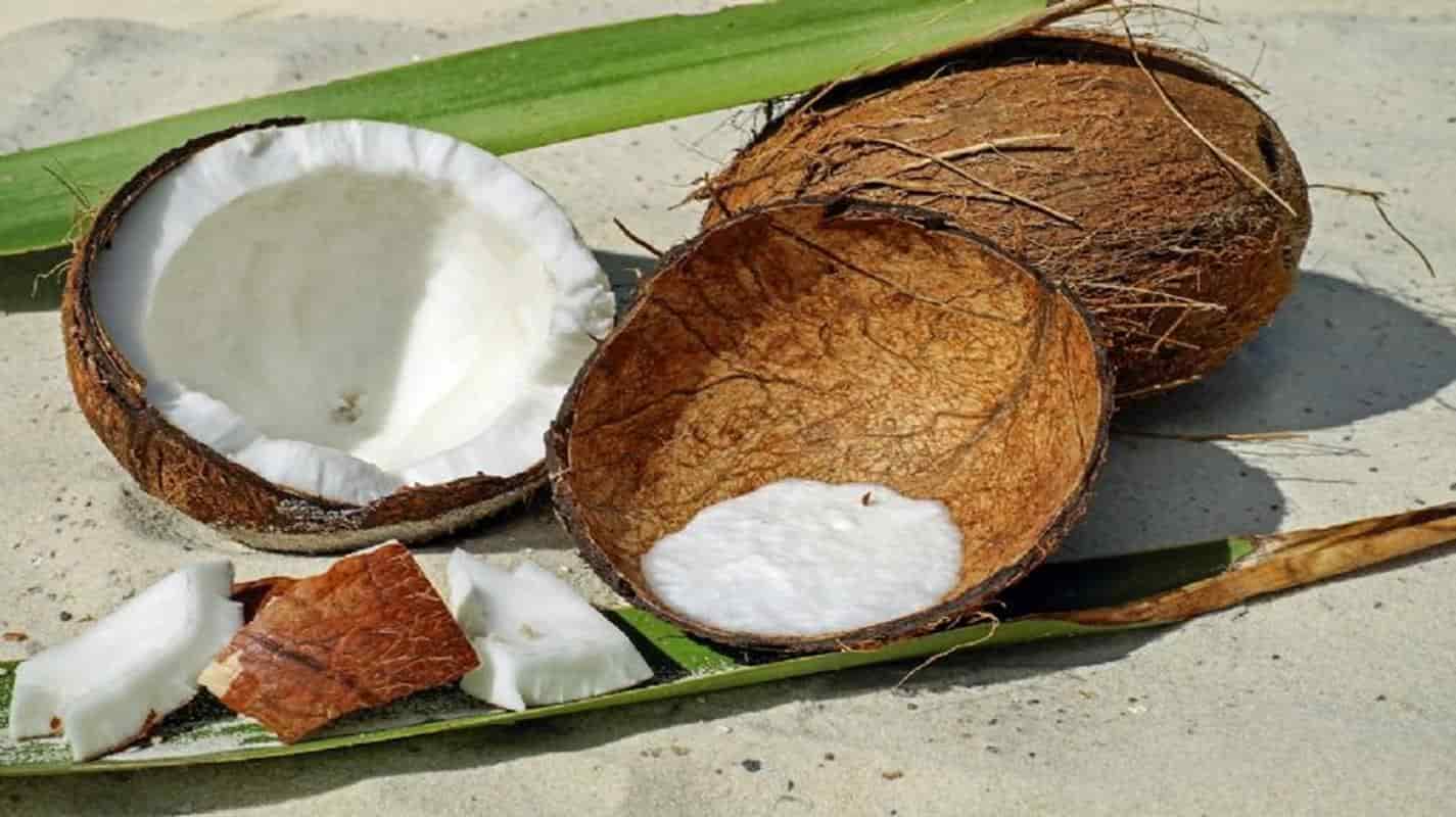 Aprenda a reutilizar a casaca do coco com essas 5 opções