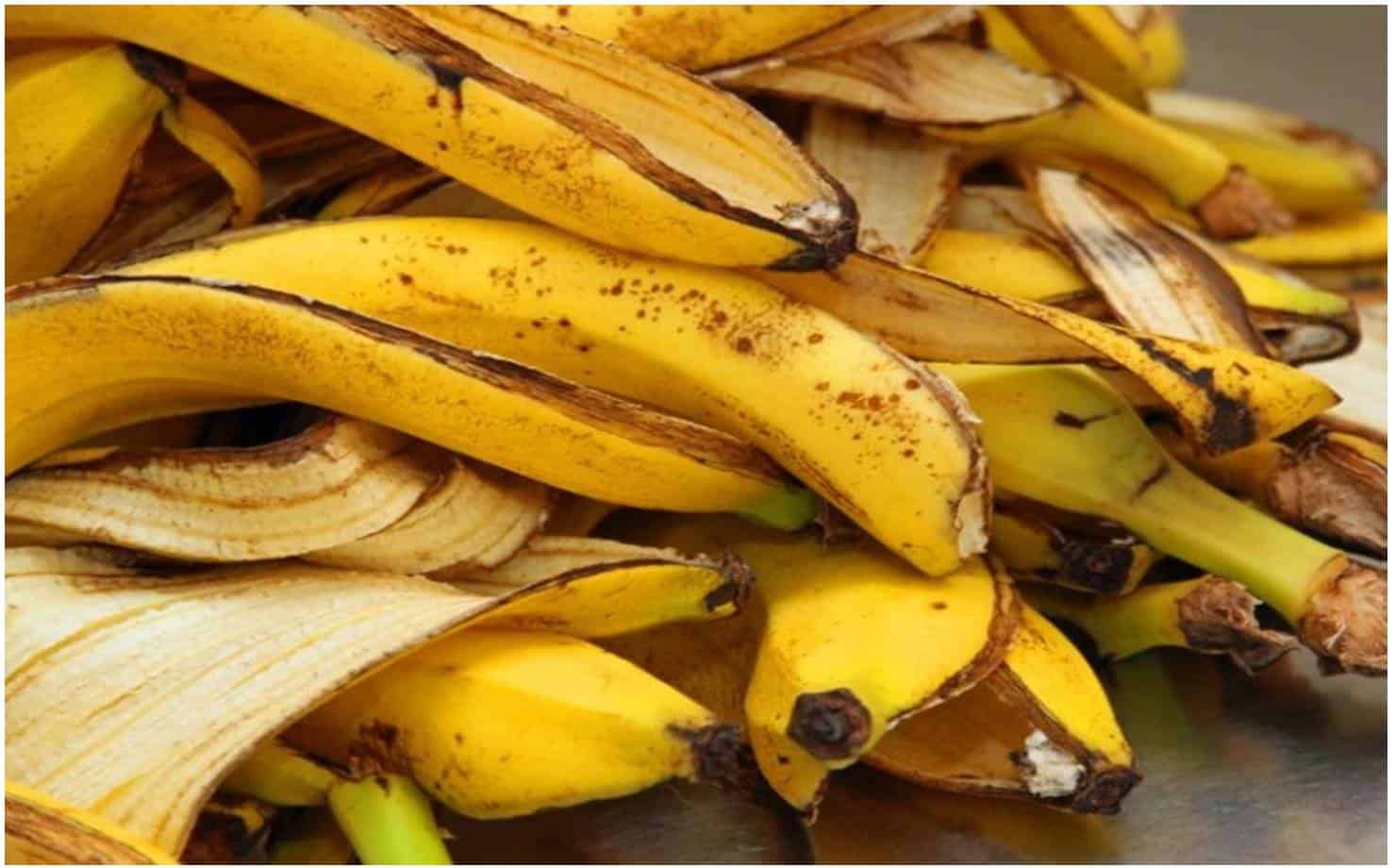 3 usos de casca de banana que talvez você não conhecesse