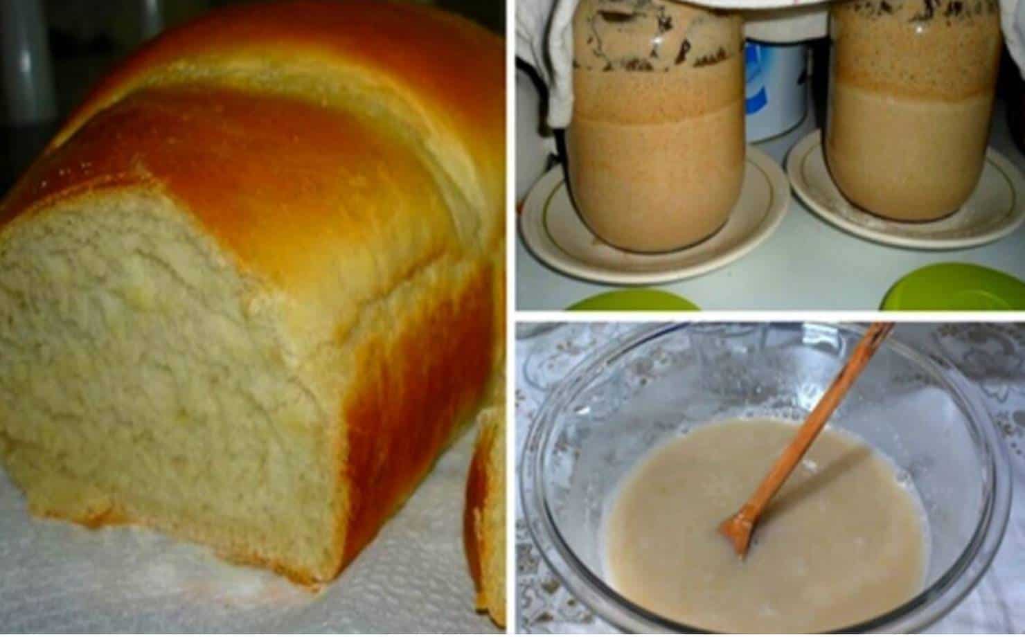 Receita simples para fazer seu próprio fermento de pão em casa