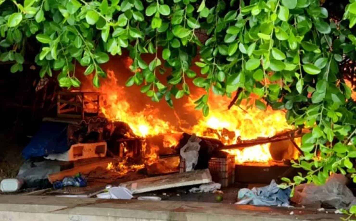 Incêndio destrói 'colônia' de gatos de Piatã em Salvador