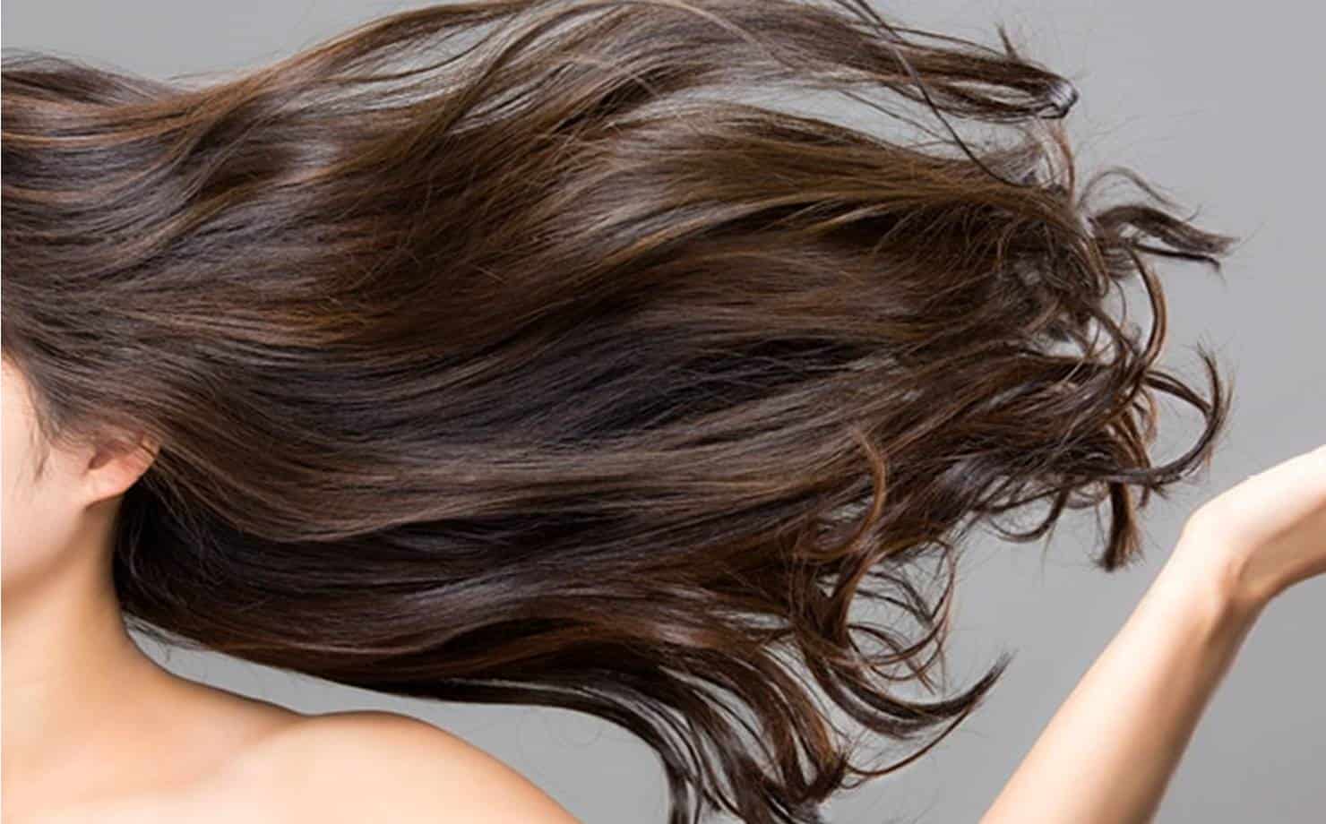 Aprenda a fazer óleo de Aloe Vera e confira seus benefícios para o cabelo