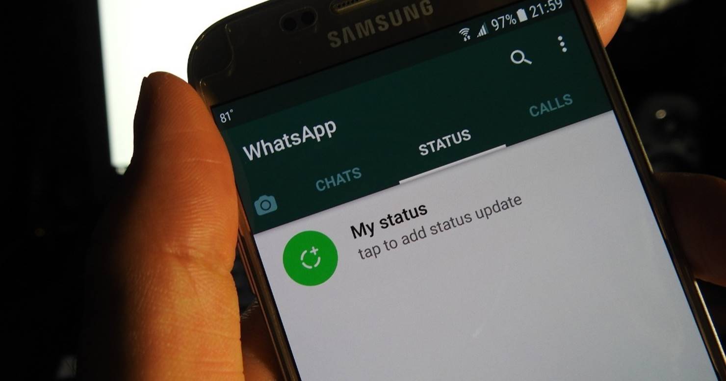Descubra como baixar de forma fácil os status do WhatsApp