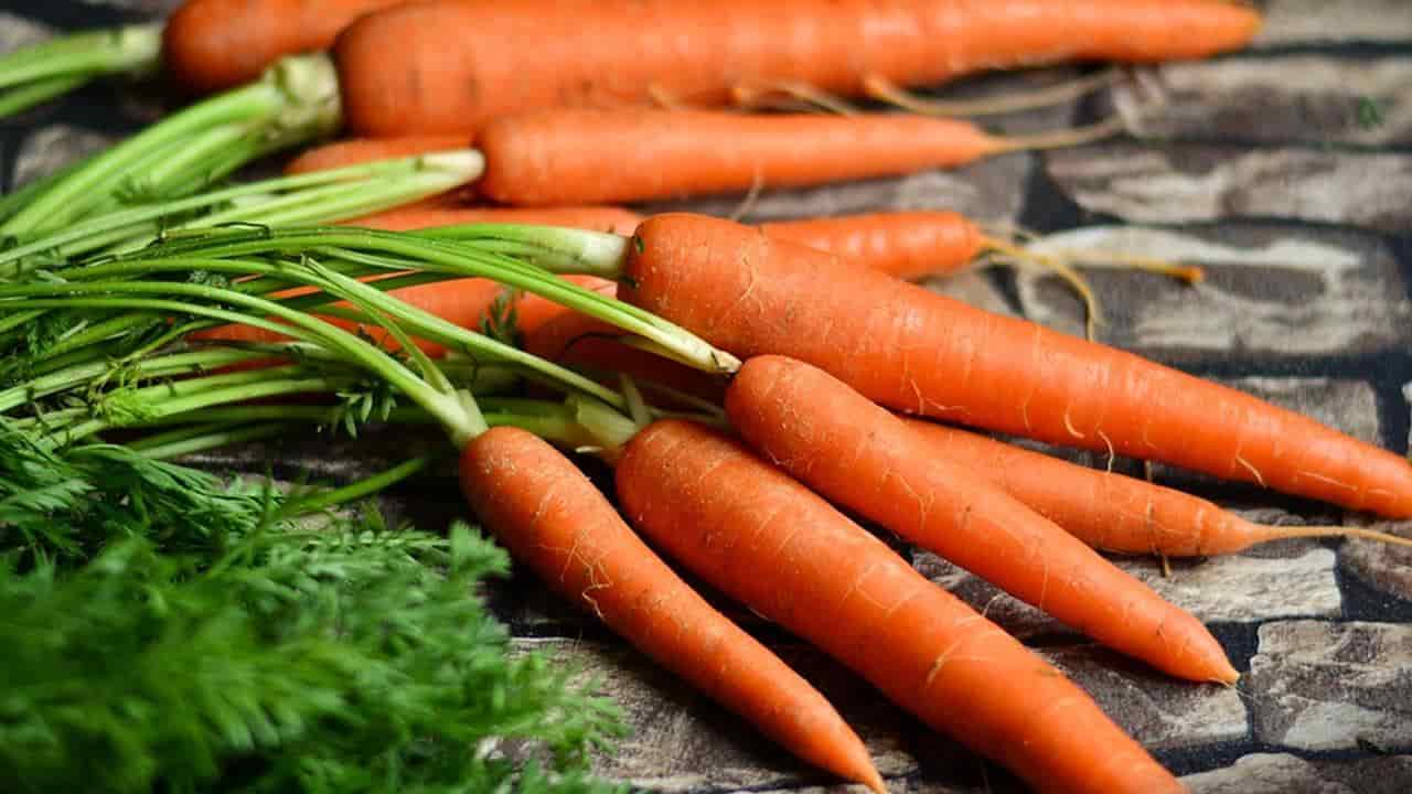 Salada de cenoura com pimentão: prepare esta receita simples 
