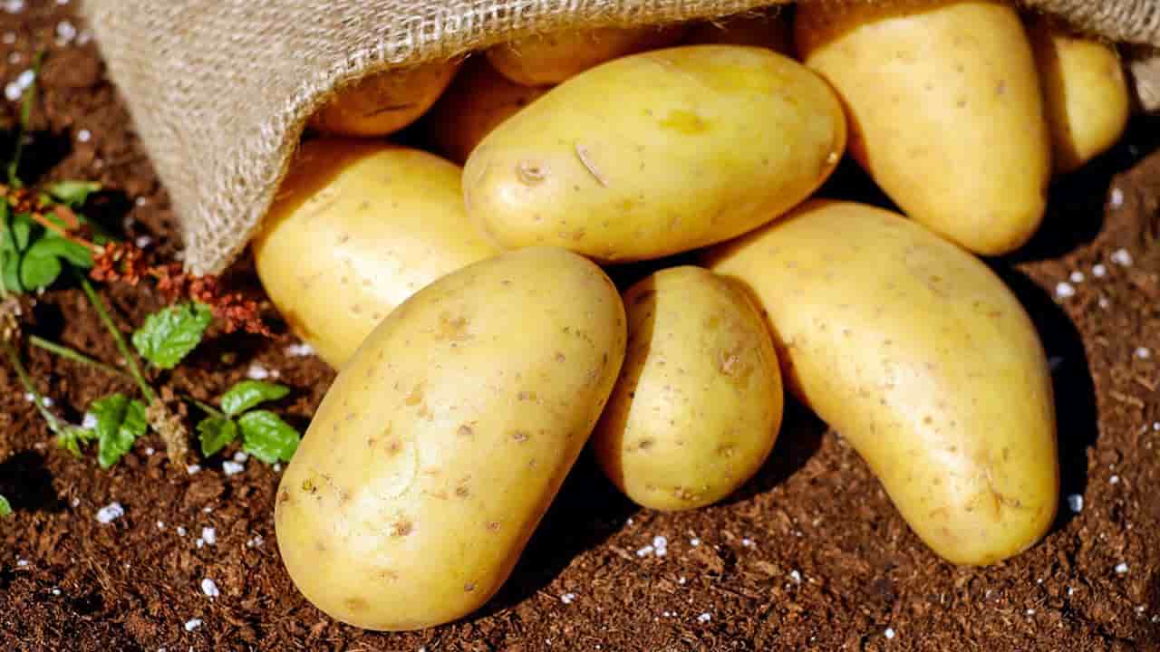 batatas macias: siga está dica simples para conseguir em minutos
