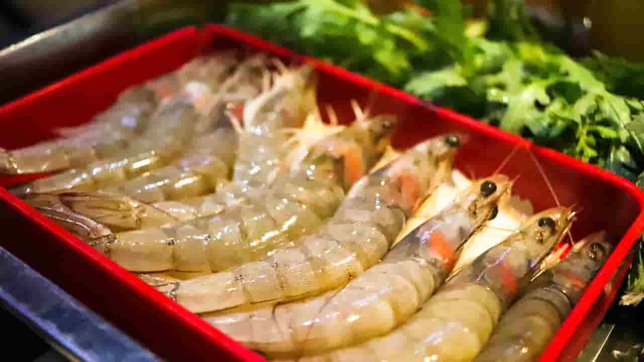 É perigoso comer cabeças de camarão? saiba mais