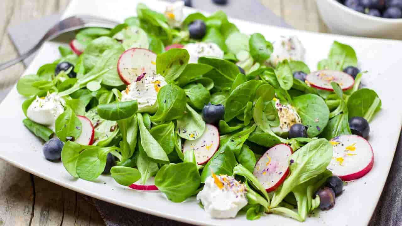 Salada de rabanete, uma preparação prática, fresca e nutritiva 