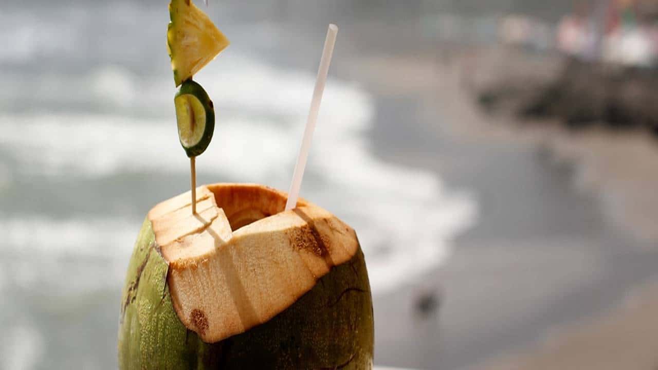 5 benefícios e contraindicações da água de coco 