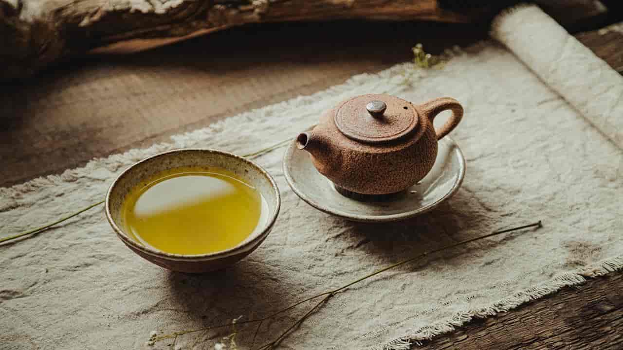 Chá de dente-de-leão: como prepará-lo e os benefícios